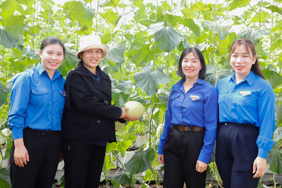 “Trái ngọt” từ quyết tâm khởi nghiệp của nữ thanh niên Hrê