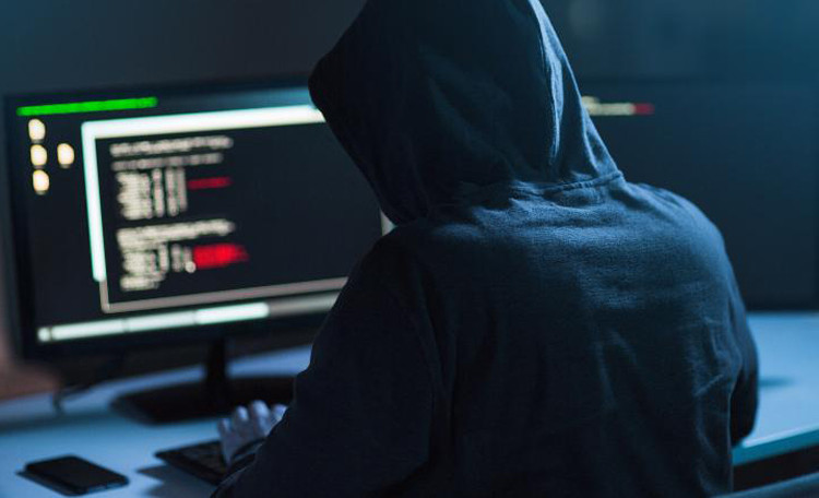 Europol triệt phá nền tảng lừa đảo trực tuyến quy mô lớn