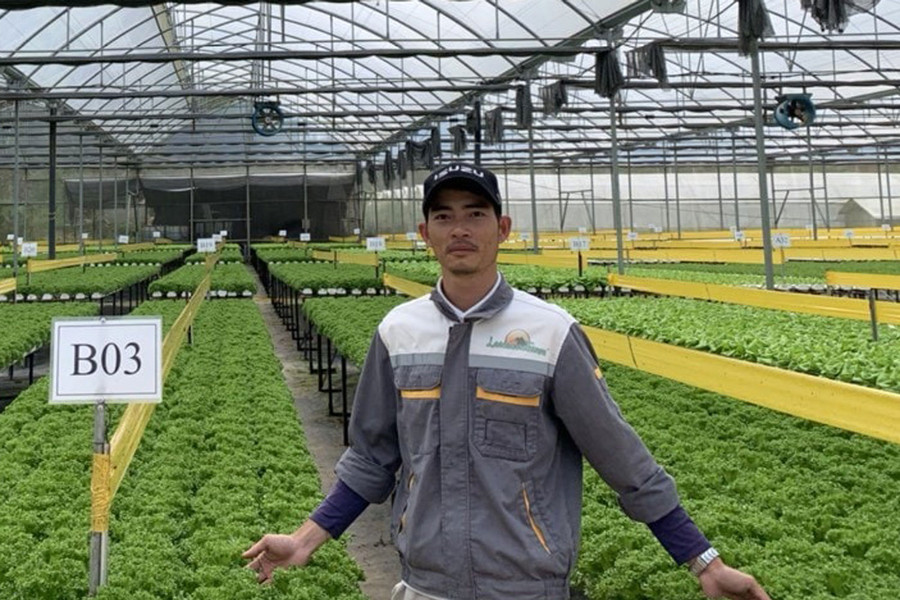 Thúc đẩy trồng trọt phát thải thấp