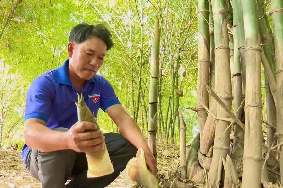 Những đảng viên DTTS tiên phong làm kinh tế