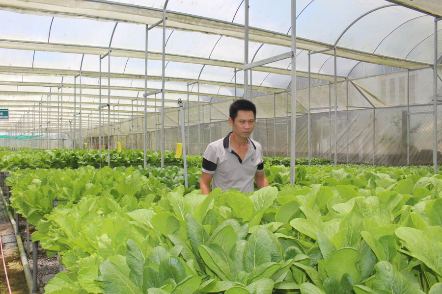 Siết quản lý vật tư, bảo vệ sản xuất nông nghiệp tại Lâm Đồng