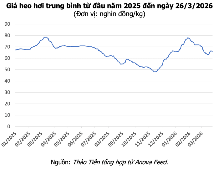 Giá heo hơi hôm nay 26/3/2026: Thị trường đi ngang, cao nhất 69.000 đồng/kg