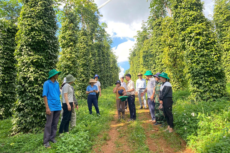 Growth Scenarios for Lam Dong’s Crop Production Sector