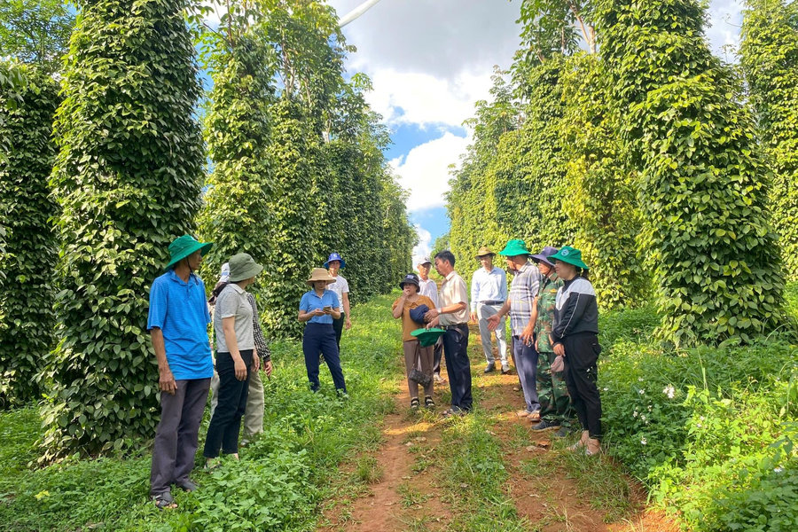 “Kịch bản” tăng trưởng ngành trồng trọt