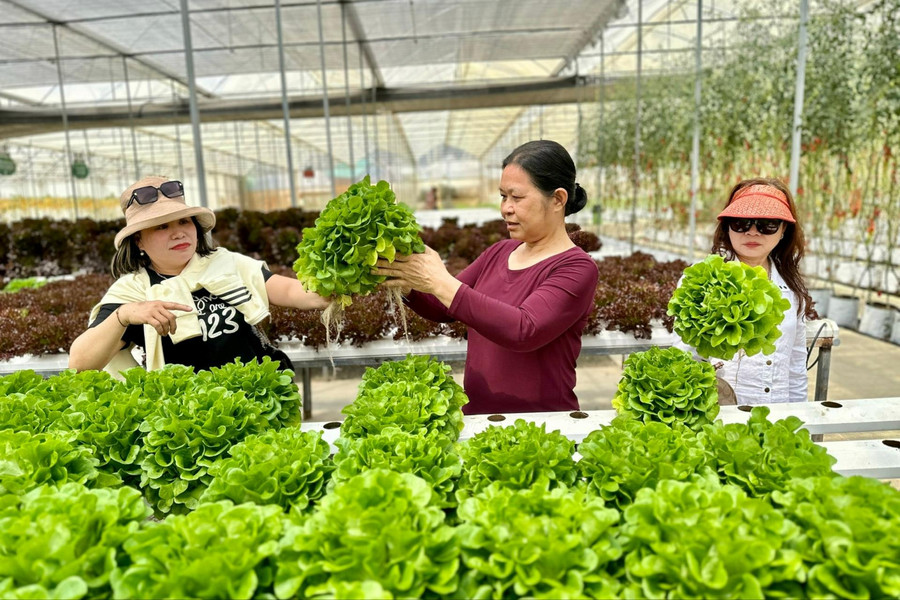 Kết nối tiêu thụ sản phẩm OCOP Lâm Đồng qua xúc tiến thương mại