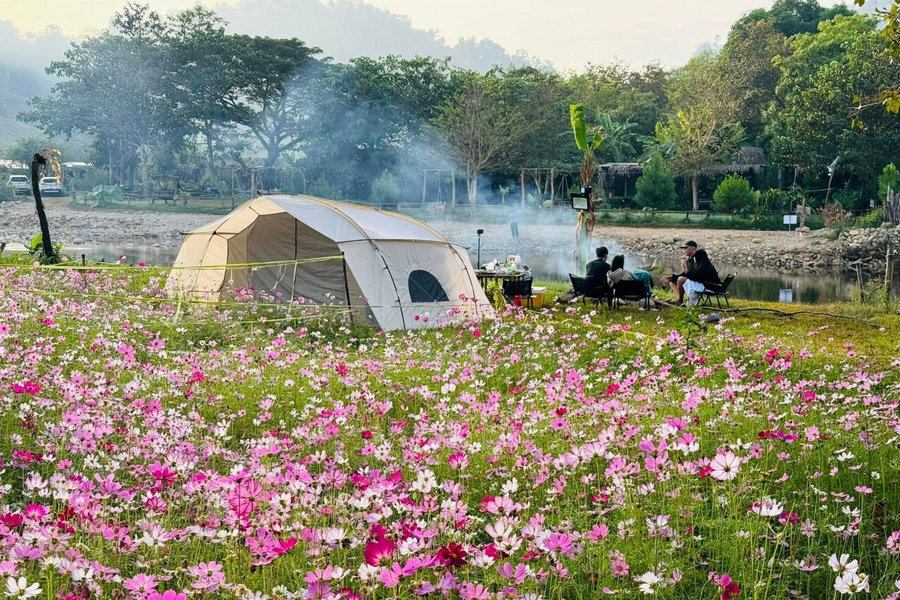Phát triển du lịch nông nghiệp cần có chiều sâu