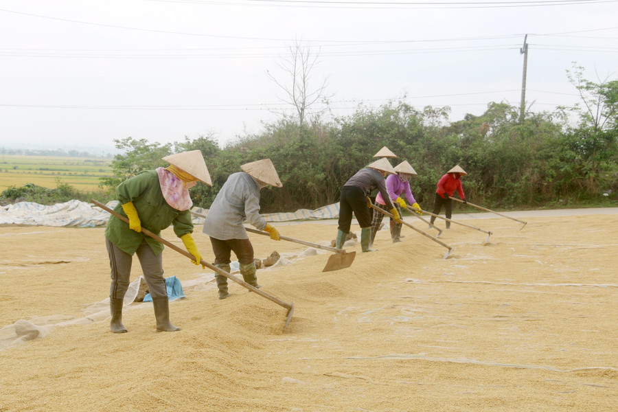 Lam Dong seeks to ease bottlenecks in agricultural logistics