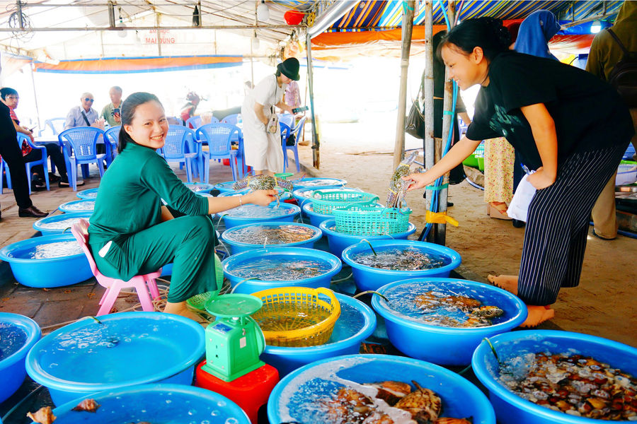 Ngọt bùi đại ngàn - mặn mòi biển cả