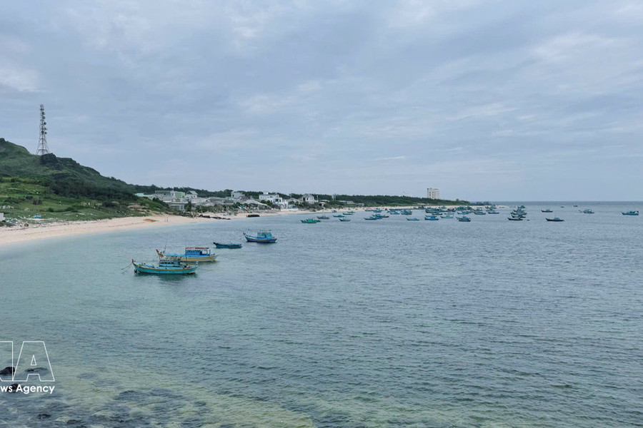 Phu Quy moves to unlock potential as premier marine tourism hotspot
