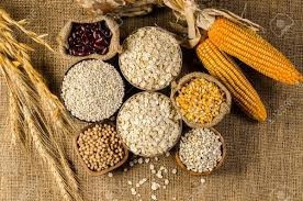 FAO dự báo sản lượng ngũ cốc toàn cầu niên vụ 2025/26 đạt kỷ lục 3.036 triệu tấn