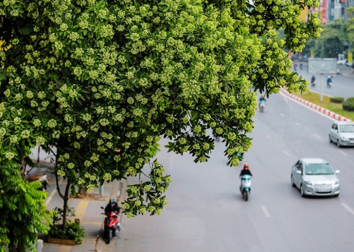 Ngọt ngào tháng tư