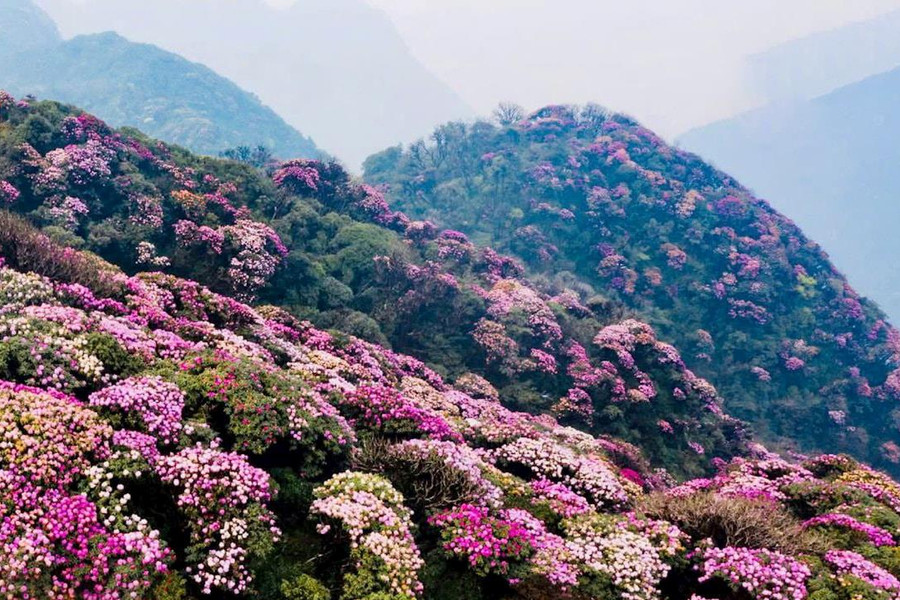 Nhớ núi tháng tư