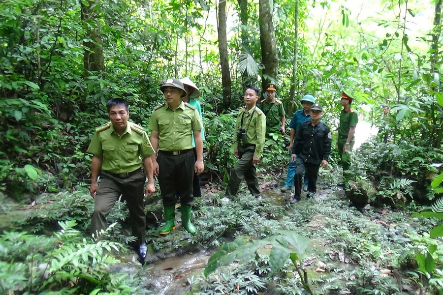 Kiểm lâm chuyển sang Lực lượng bảo vệ rừng, tính phụ cấp thâm niên thế nào?