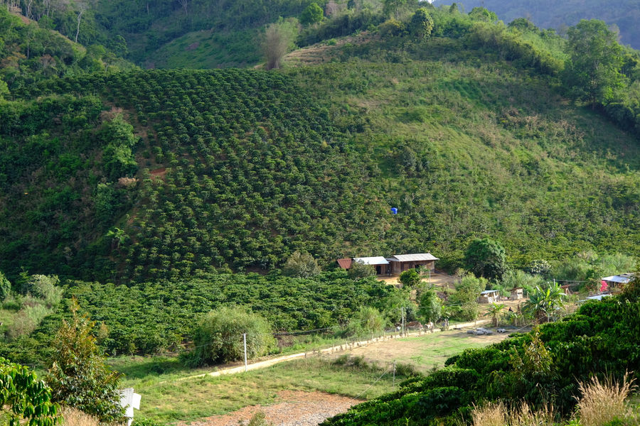 Bản làng Đạ M’Pô sang trang mới