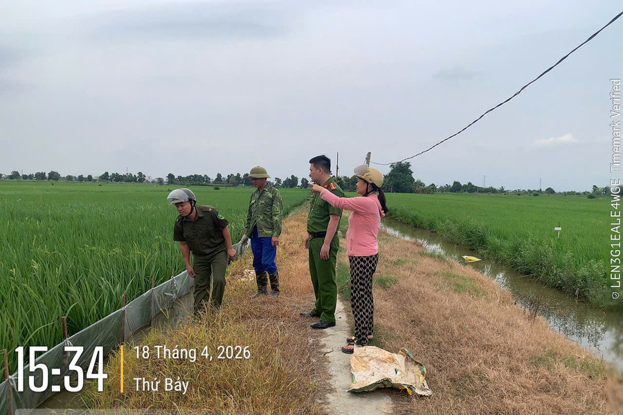 Cảnh báo nguy cơ tử vong và bị khởi tố do dùng điện bẫy chuột tại Hải Phòng