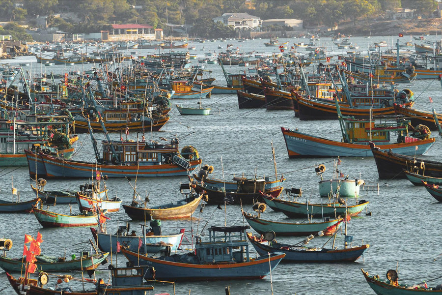 Làng chài Mũi Né – trải nghiệm khác biệt giữa lòng đô thị du lịch