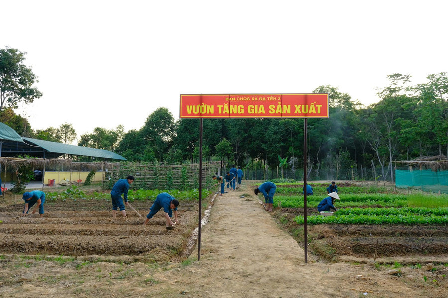 Vườn tăng gia xanh nuôi quân, rèn kỷ luật ở Ðạ Tẻh 3