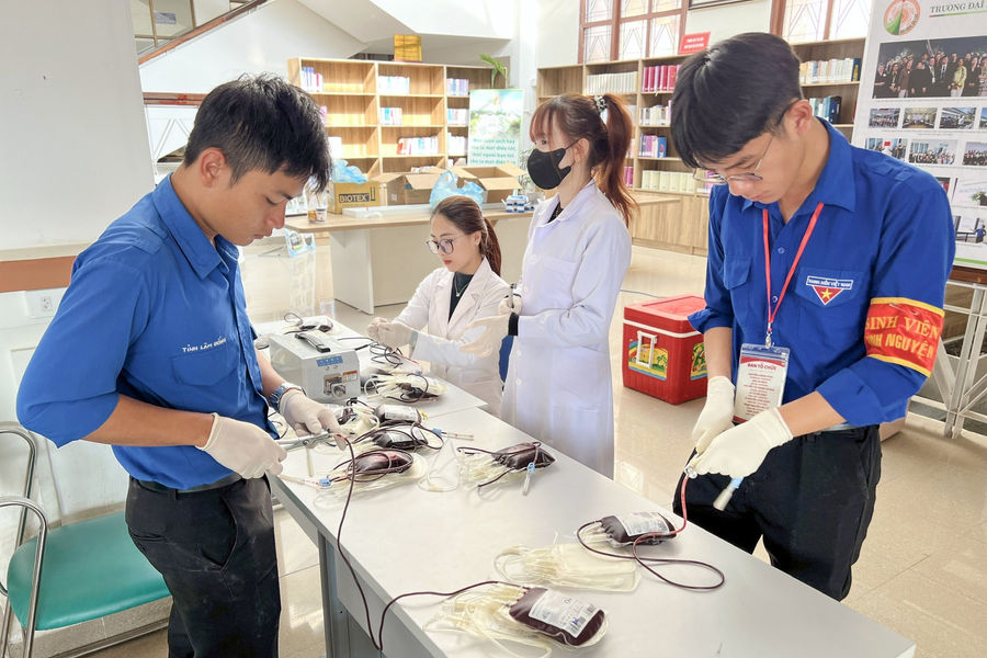 Sinh viên Đà Lạt hiến 313 đơn vị máu