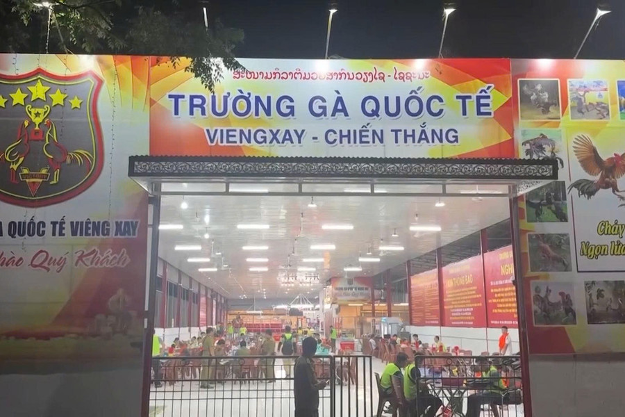 Triệt phá đường dây đánh bạc xuyên Dubai Link mới Dubai888 Cá Cược Trường gà Viêng Xay quy mô 1.200 tỷ đồng