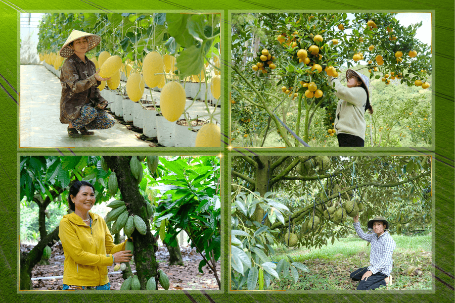 Agriculture and Environment Sector Builds a New Growth Model