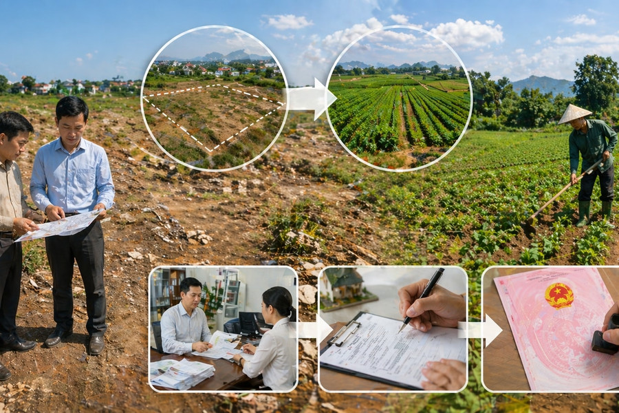 Quy định đưa đất chưa sử dụng vào sản xuất nông nghiệp: Không phải chuyển mục đích