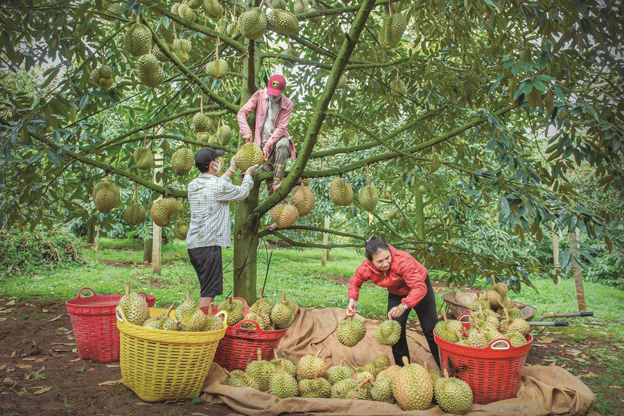 Hào khí 30/4 và khát vọng vươn mình của Lâm Đồng