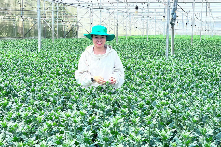 Lam Dong Supports Youth Startups With Preferential Loans