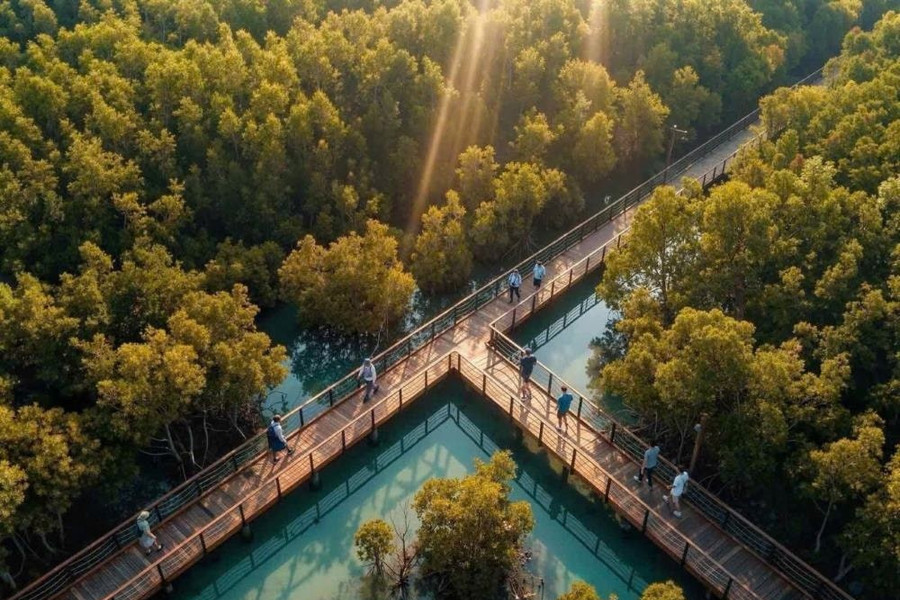 Công viên rừng ngập mặn Wonder Mangrove 800ha tại Quảng Ninh: 'Amazon thu nhỏ' quy mô thế giới