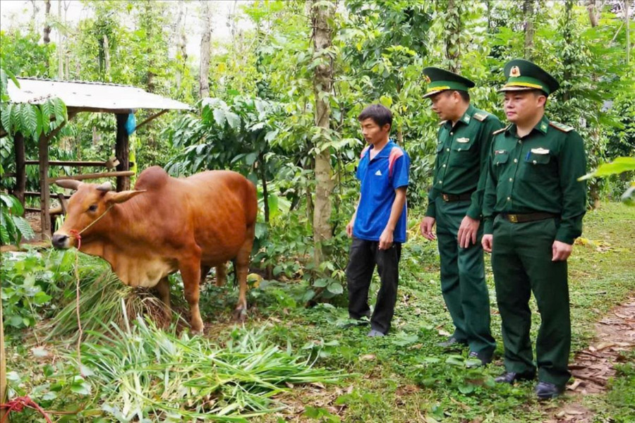 Bộ đội biên phòng chung tay xây dựng nông thôn mới vùng biên