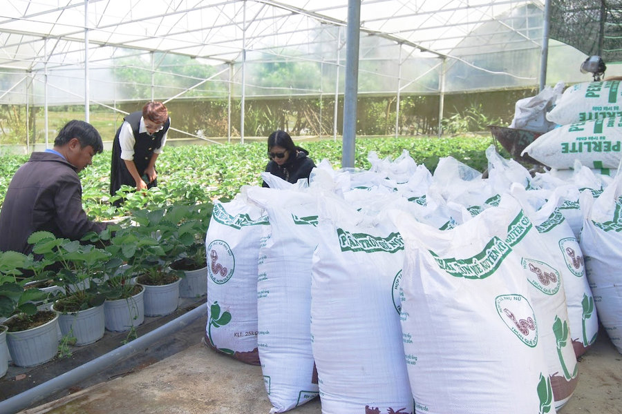 Tái tạo chất thải chăn nuôi thành nguồn tài nguyên