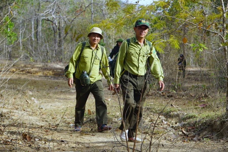 Giữ “lá phổi” xanh ở Nam Lâm Đồng