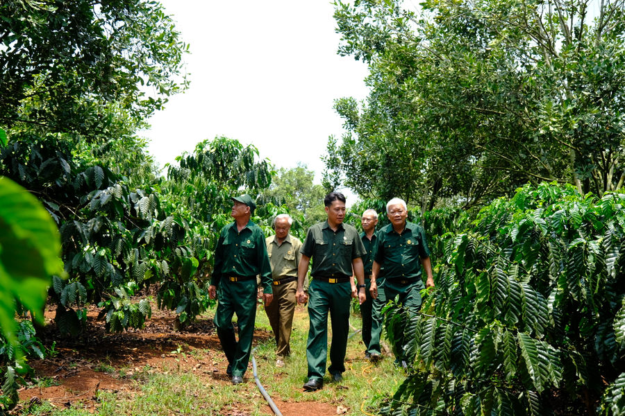 Những cựu chiến binh làm kinh tế