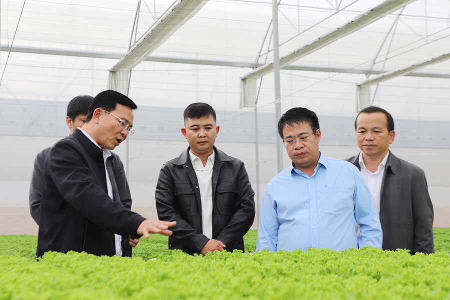 Lam Dong launches a “green race” toward a digital future