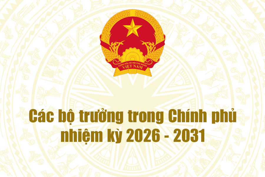 Tiểu sử tóm tắt các bộ trưởng trong Chính phủ nhiệm kỳ 2026-2031