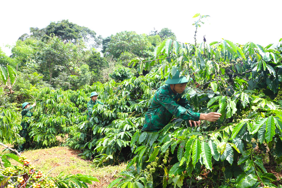 “Thực túc, binh cường” ở biên giới
