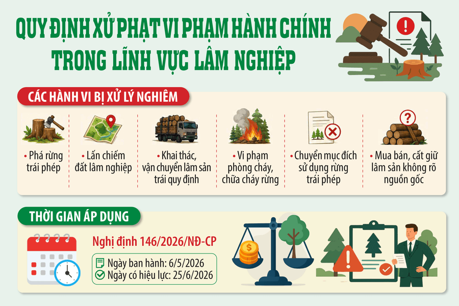 Siết mạnh xử phạt vi phạm lâm nghiệp: Mức phạt tối đa tới 1 tỷ đồng