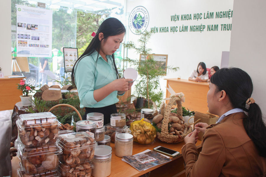 Sở Khoa học và Công nghệ Lâm Đồng hỗ trợ doanh nghiệp nhỏ và vừa chuyển đổi số