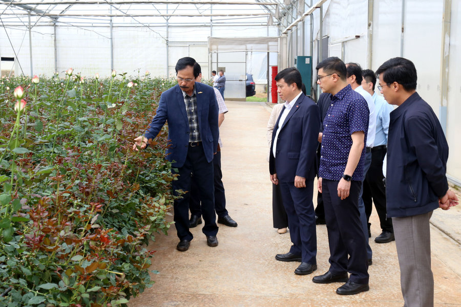 Lam Dong Provincial Party Secretary visits Dalat Hasfarm
