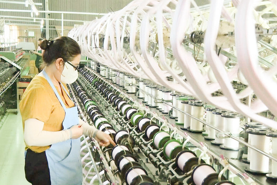 Lam Dong Promotes High-Quality and Rapid Private Sector Growth