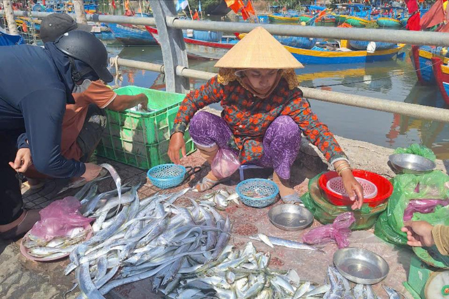 Lợi ích lâu dài hay tận diệt
