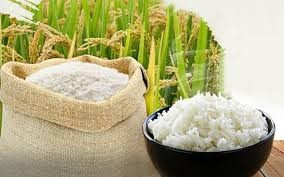 Giá lúa gạo ngày 21/05: Gạo Jasmine xuất khẩu tăng mạnh 17 USD mỗi tấn