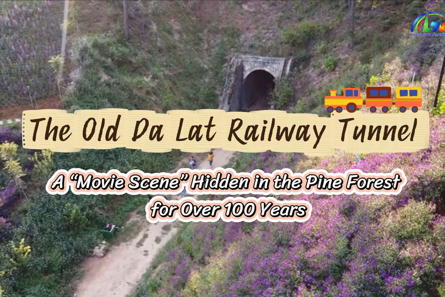 A 100-Year-Old Tunnel Hidden Deep in Da Lat’s Pine Forests