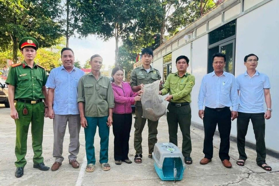 Chung tay đưa động vật hoang dã trở về môi trường tự nhiên