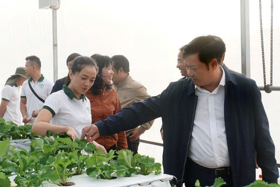 Góc nhìn từ Tổ công tác số 1