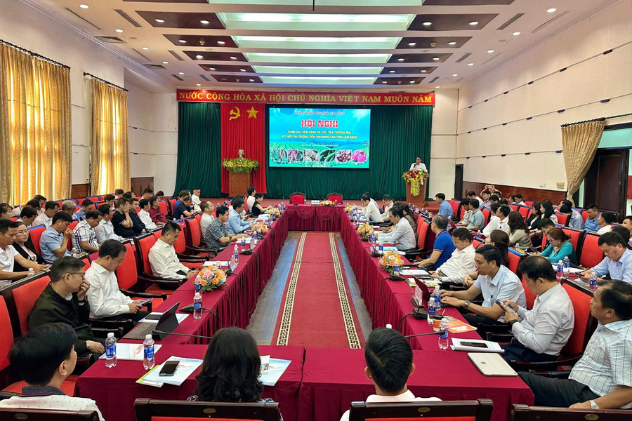 Đánh giá tiềm năng, xúc tiến, kết nối thị trường tiêu thụ nông sản tỉnh Lâm Đồng