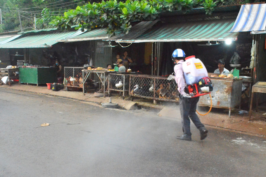 Chủ động giám sát dịch bệnh trên vật nuôi