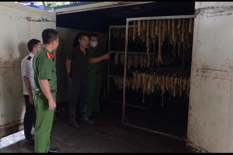 Tỉnh Bắc Ninh: Phát hiện cơ sở kinh doanh hơn 3 tấn ruột lợn bốc mùi hôi thối