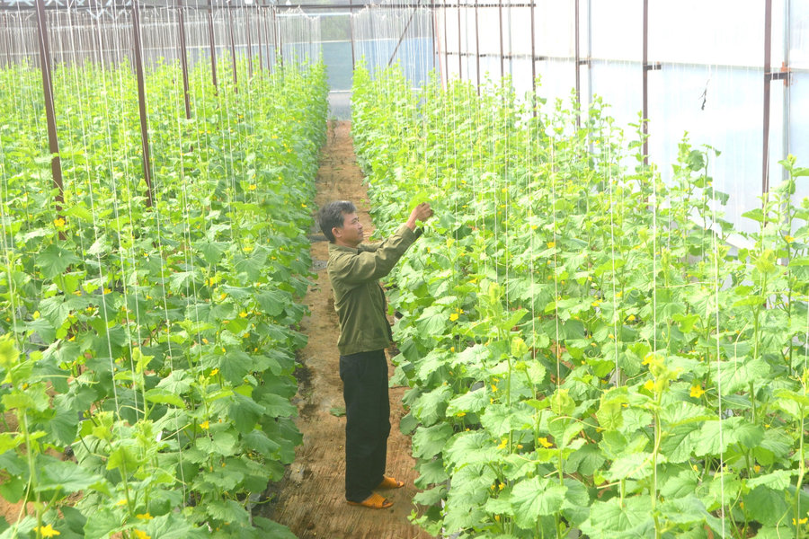 A strategic moment for concentrated agricultural development