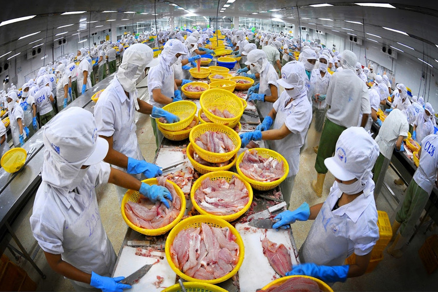 Sẽ sửa 2 thông tư để gỡ vướng xuất khẩu thủy sản
