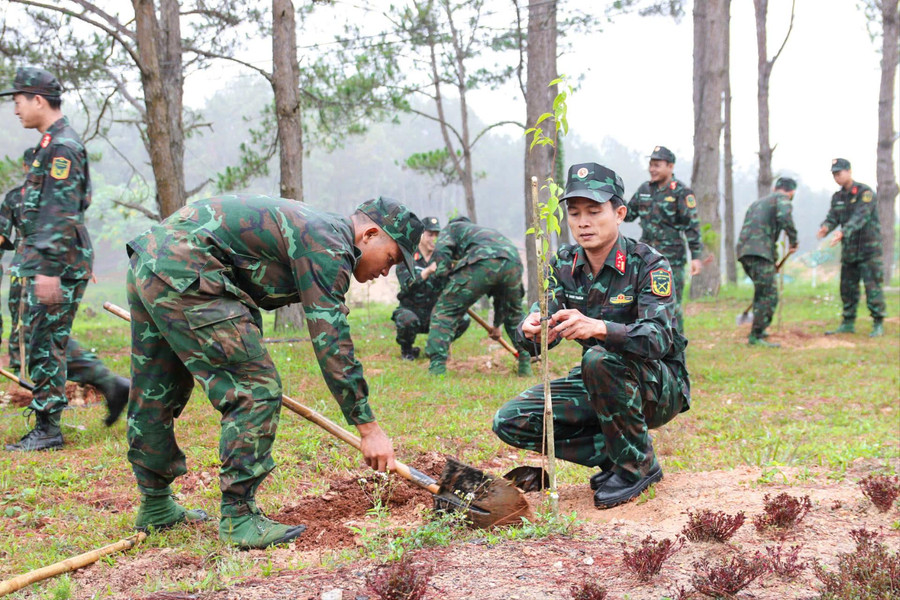 Phủ xanh thao trường